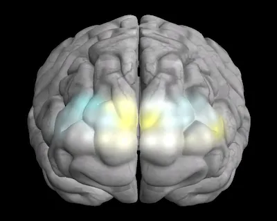 일반 영상 시청 시