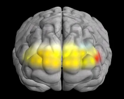 Quve 상호작용 중